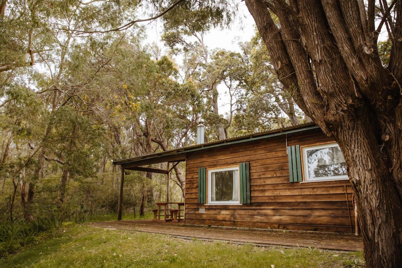 Gum Grove Chalets Denmark Exteriér fotografie